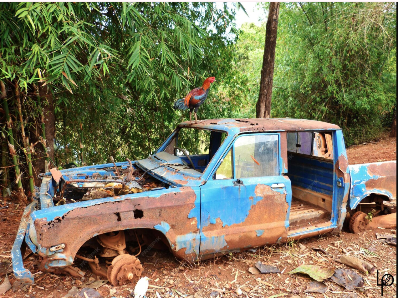 Turn Old Junk Cars Into Fast Cash In Concord Today